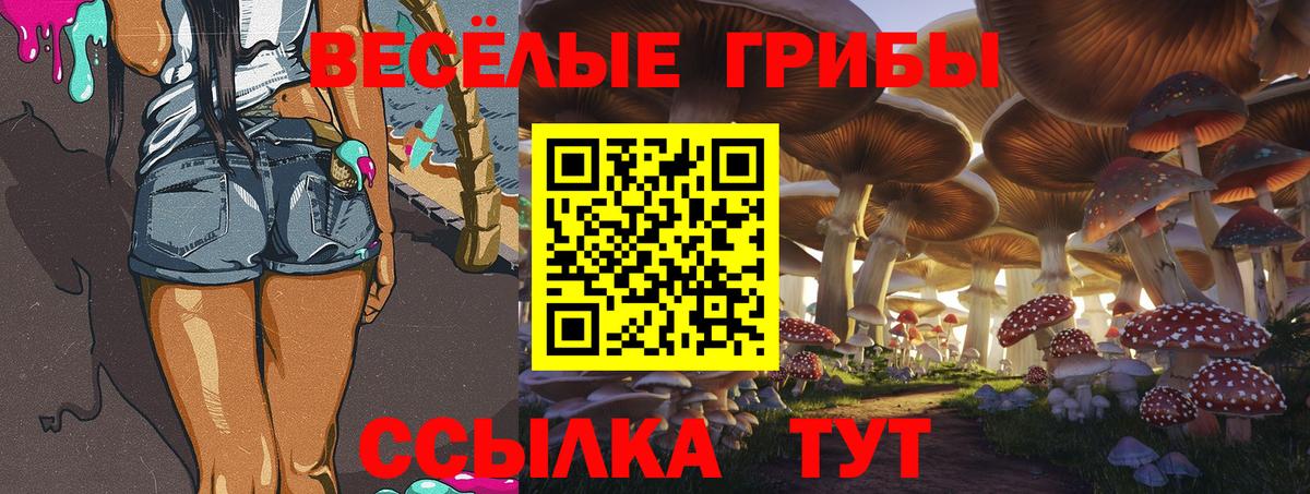 Галлюциногенные грибы ЛСД Чусовой