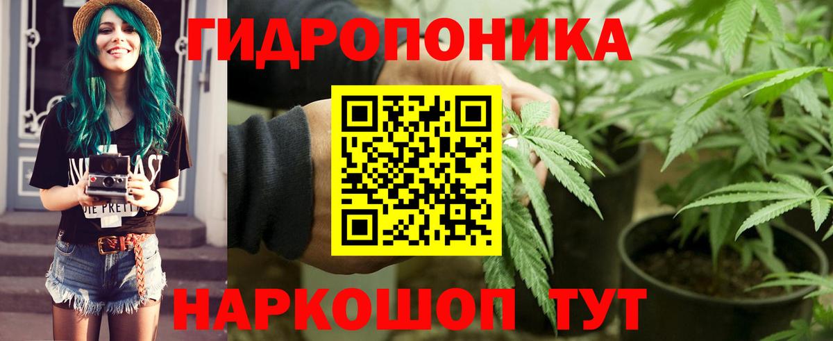 Шишки марихуана Ganja  Конопля OG Kush  Бошки марихуана конопля  Вход с VPN  Чусовой 